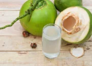 Banyak Manfaat Air Kelapa Muda bagi Kesehatan yang Perlu Anda Ketahui