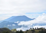 7 Negara dengan Gunung Berapi Terbanyak di Dunia, Indonesia Masuk 4 Besar