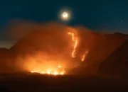 Karhutla Gunung Bromo Meluas, Kawasan Terdampak Capai 520 Hektare