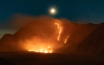 Karhutla Gunung Bromo Meluas, Kawasan Terdampak Capai 520 Hektare