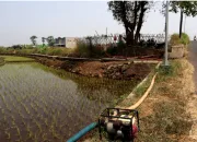 Dinpertan Banyumas Akui 136 Titik Irigasi Pompa Belum Mampu Atasi Kekeringan Lahan Pertanian