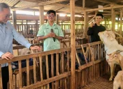 Zulhas Puji Pengelolaan Sampah dan Peternakan Kambing di Banyumas