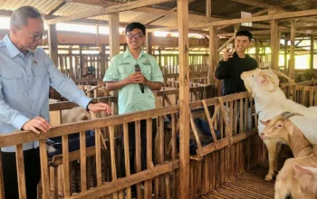 Zulhas Puji Pengelolaan Sampah dan Peternakan Kambing di Banyumas