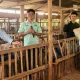 Zulhas meninjau pengelolaan sampah dan peternakan kambing Mendha Milk di Banyumas