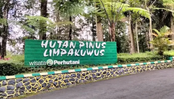Hutan Pinus Limpakuwus Baturraden tempat wisata alam Purwokerto