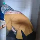 Air PDAM Purwokerto mati