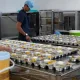 Dapur MBG Banyumas senilai Rp90 miliar masih menunggu kepastian operasional